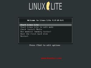 can linux lite 4.4 be downloaded to a thumb drive
