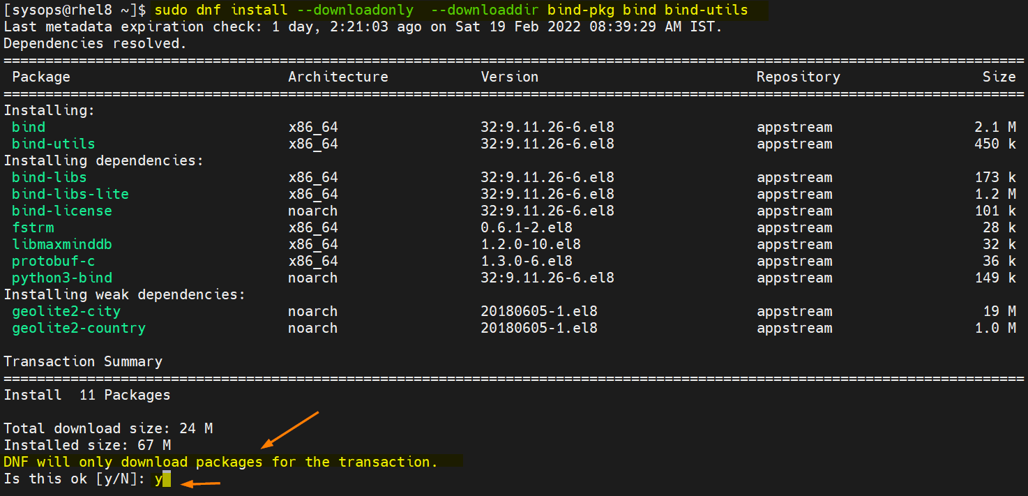 How To Download RPM Packages Without Installing On RHEL 8