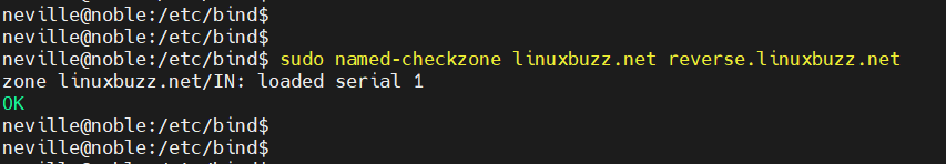 Named-Checkzone-Reverse-Bind-Ubuntu-24-04