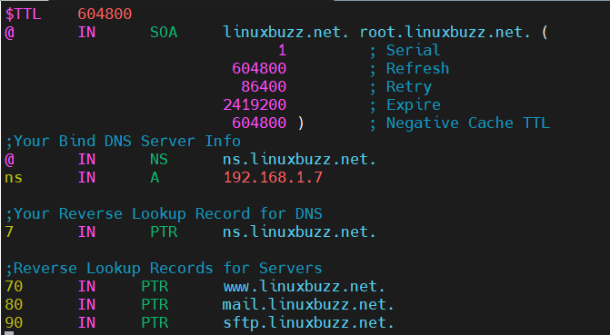 Reverse-Lookup-Zone-File-Bind-Ubuntu-24-04