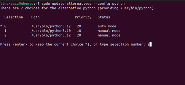 Switch Python Version Command Ubuntu 24.04
