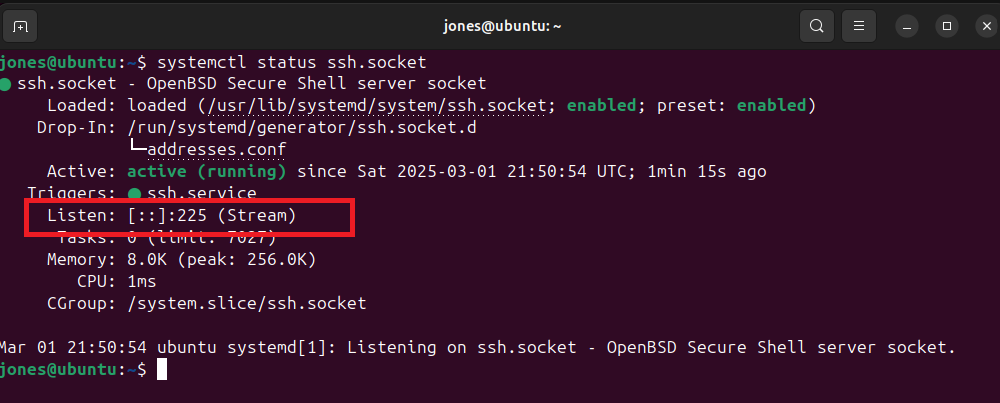 Check OpenSSH Server Port Ubuntu