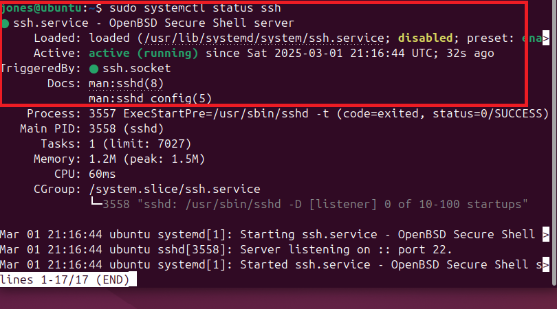 Verify SSH Service Status